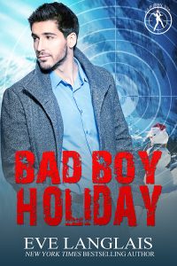 Book Cover: Bad Boy Holiday