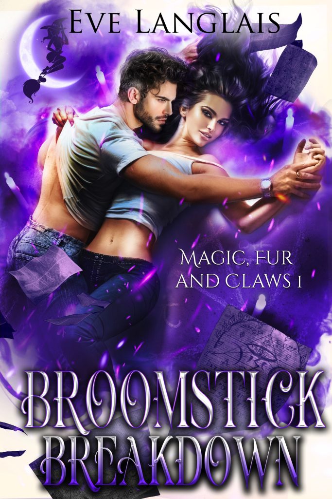 Book Cover: Broomstick Breakdown