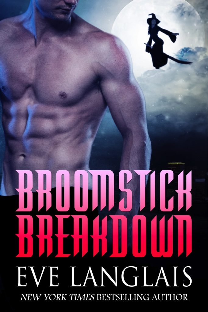 Book Cover: Broomstick Breakdown
