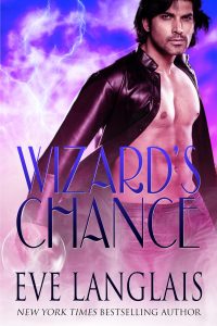 Book Cover: Wizard's Chance