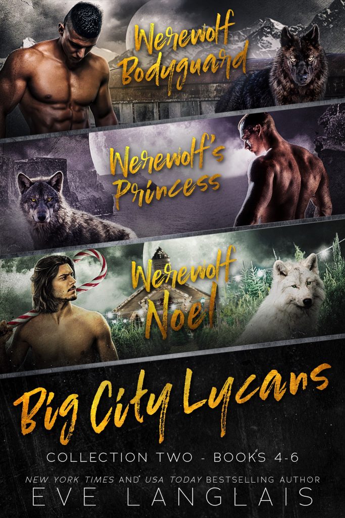 Book Cover: Big City Collection Two : Books 4 - 6