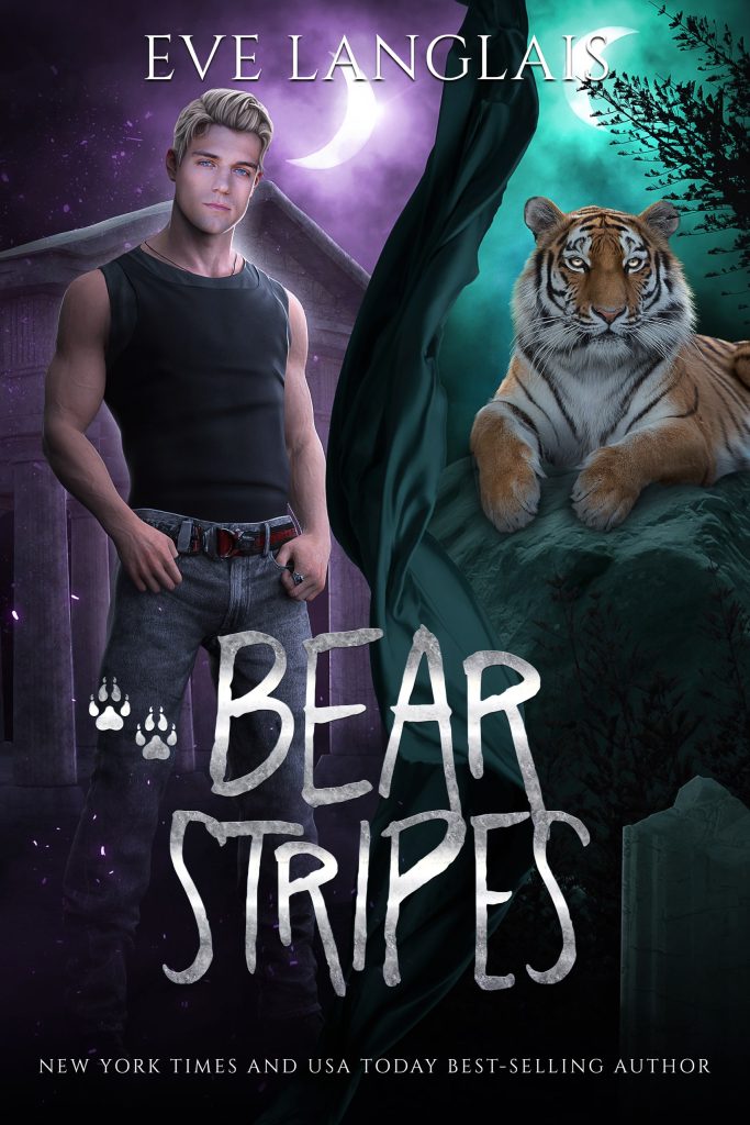 Book Cover: Bear Stripes